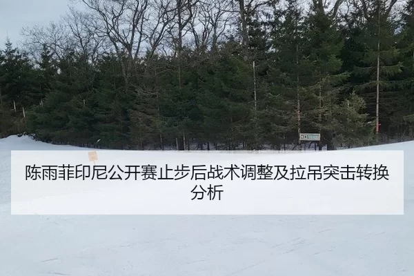 chen-yu-fei-yin-ni-gong-kai-sai-zhi-bu-hou-zhan-shu-tiao-zheng-ji-la-diao-tu-ji-zhuan-huan-fen-xi-2-936.jpg